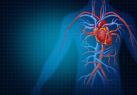 a bél aorták hatása a magas vérnyomásra magas vérnyomás nyomja a mellkasban